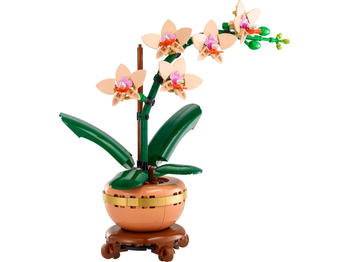 Mini-Orchidee 10343 | The Botanical Collection | Offizieller LEGO® Shop DE