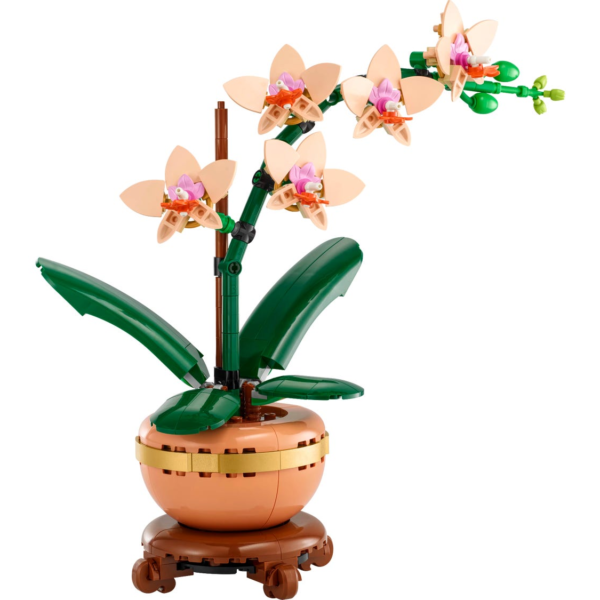 Mini-Orchidee 10343 | The Botanical Collection | Offizieller LEGO® Shop DE