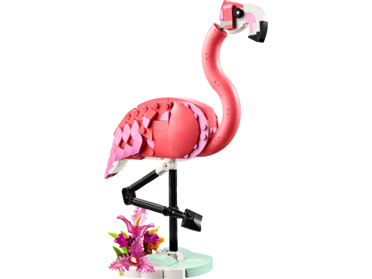 Wilde Tiere: Rosa Flamingo 31170 | Creator 3-in-1-Sets | Offizieller LEGO® Shop DE